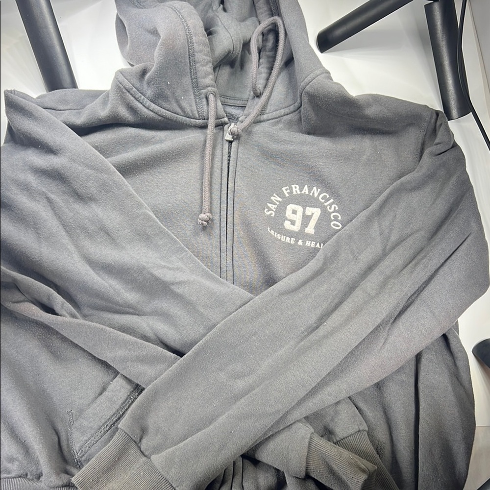 Hollister San Francisco Zip up
